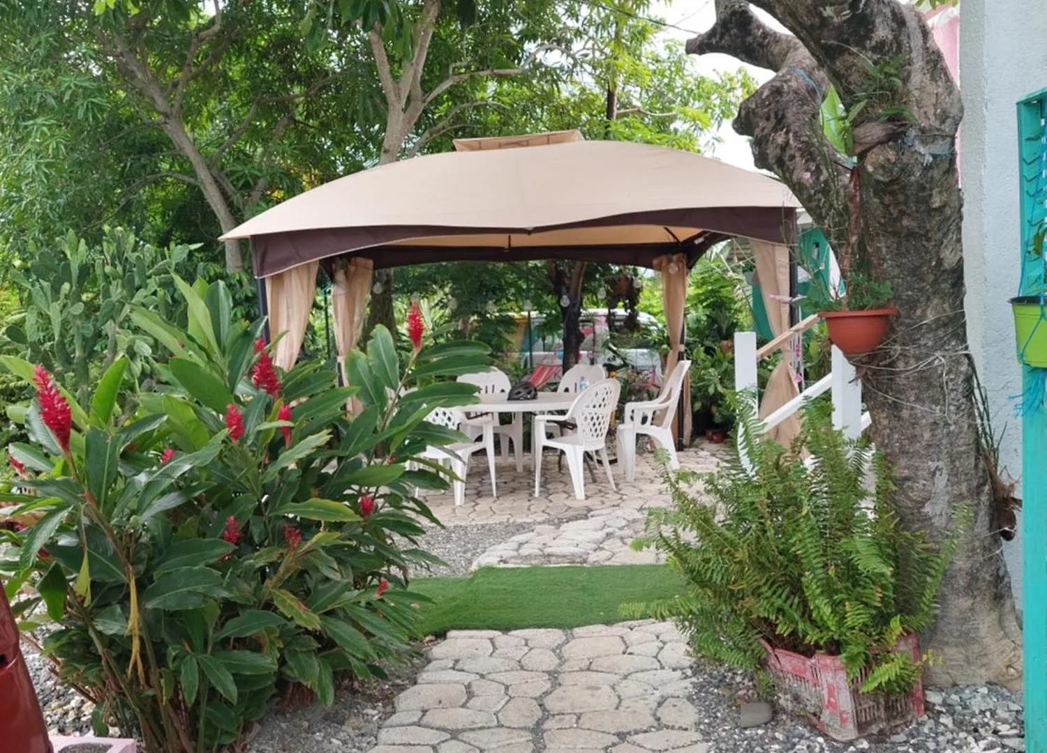 Alex'S Place - Tim Pappies Port Antonio